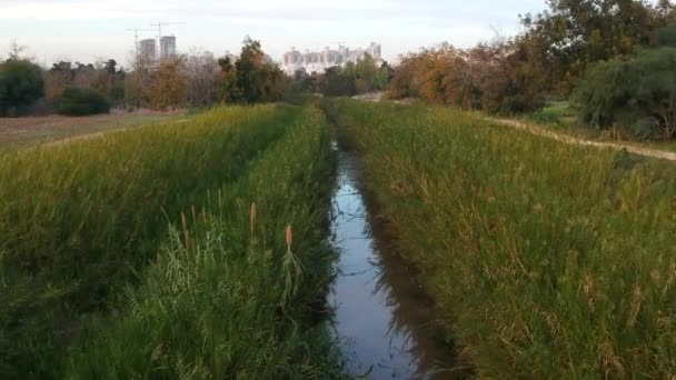 Nahal Poleg Stream Sharon Plain Israel — Stok Video