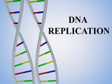 DNA ikileşmesi kavramı