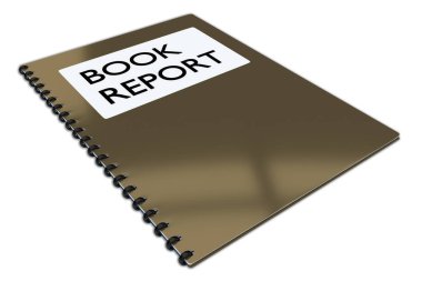 Rapor kavramı kitap