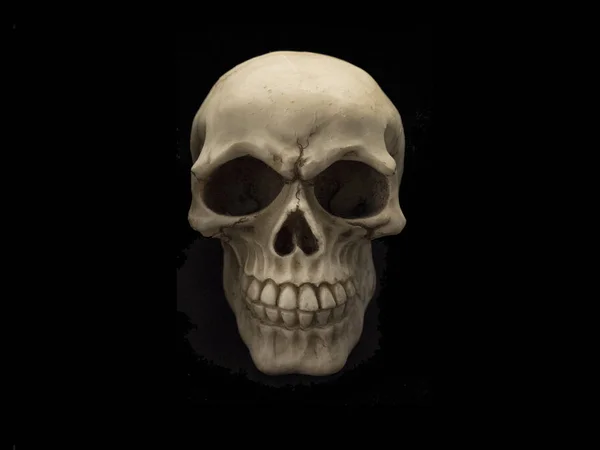 Teschio scheletrico isolato su nero — Foto Stock