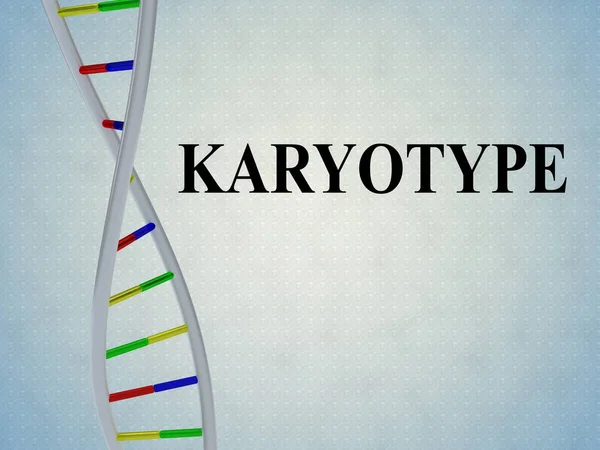 Karyotype-유전자 개념 — 스톡 사진