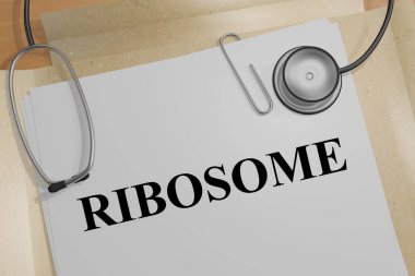 tıbbi bir belge üzerinde ribozom başlık 3D çizimi
