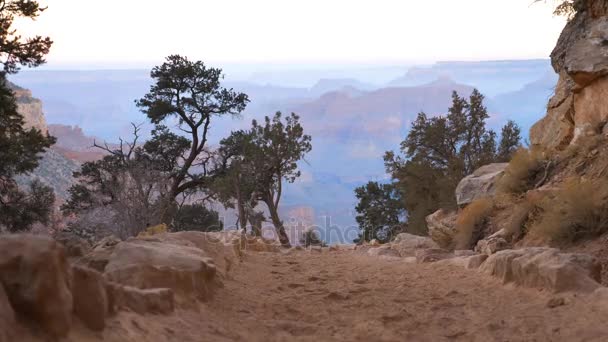 Chemin de terre dans le Grand Canyon — Video