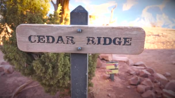 Cedar Ridge Viewpoint Sign Grand Canyon — Stock Video