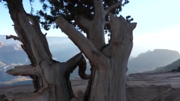 Büyük Kanyon Gündoğumu Sırasında — Stok video