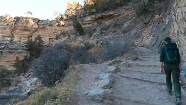 Caminhantes Escalam Bright Angel Trail — Vídeo de Stock
