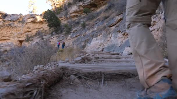 Randonneurs Grimpent Bright Angel Trail Montagne Grand Canyon — Video