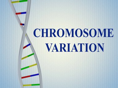 Kromozom değişim kavramı