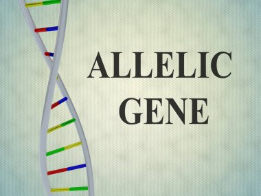 ALLELIC GENE concept clipart