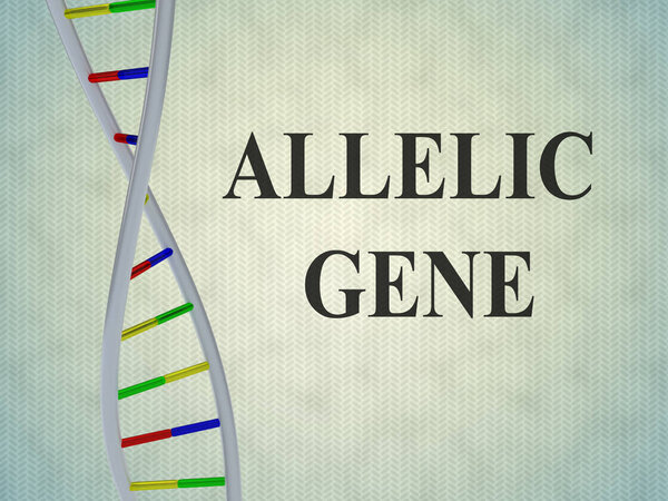 ALLELIC GENE

