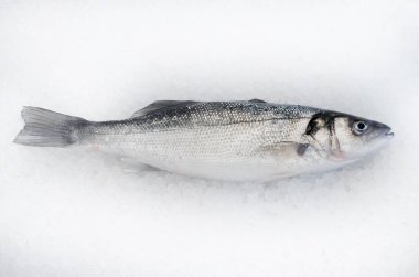 Levrek balığı buz üstünde