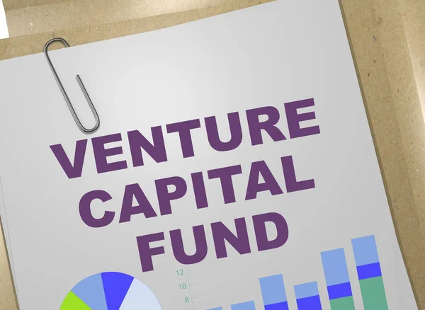 VENTURE CAPITAL FUND concept