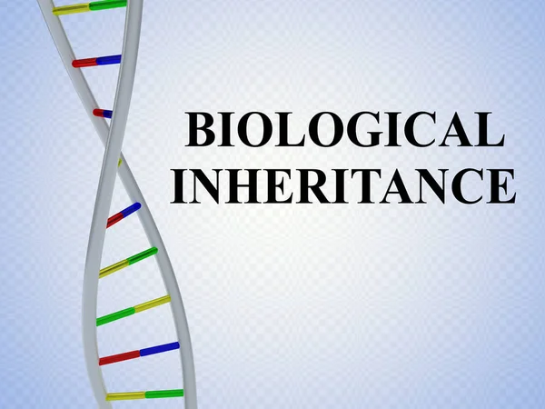 BIOLOGICAL INHERITANCE concept