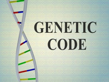 Genetik kod kavramı