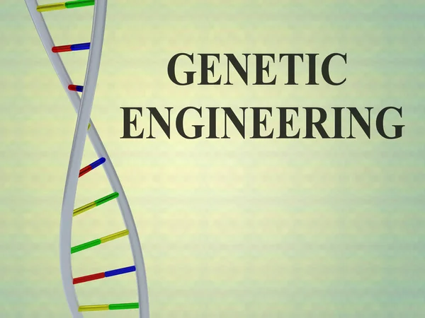 Genetikai mérnöki koncepció — Stock Fotó