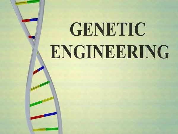 유전 공학의 개념 — 스톡 사진