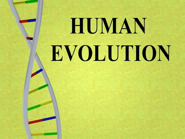 Illustration Der Menschlichen Evolutionsschrift Mit Dna Doppelhelix Isoliert Auf Farbigem — Stockfoto