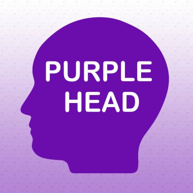 Baş silueti üzerindeki PURPLE başlığının resmedilmesi, mor gradyan üzerinde izole edilmiş.
