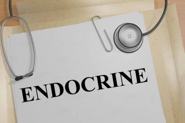 Bir tıbbi belgede ENDOCRINE başlığının 3B illüstrasyonu