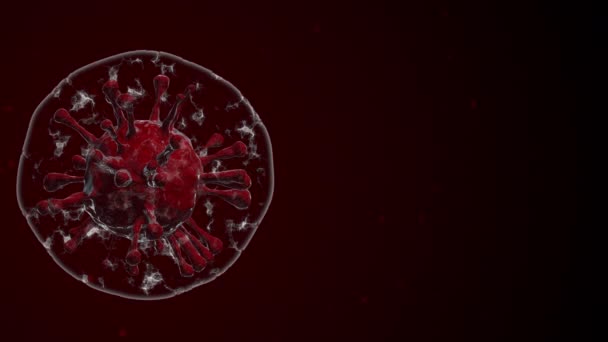 Nahaufnahme Des Bakterienzellvirus Coronavirus Covid Einer Luftblase Die Mit Anderen — Stockvideo