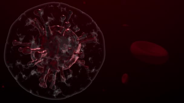 关闭细菌Coronavirus Covid 和红血球与其他颗粒一起漂浮 背景病毒细胞3D动画渲染 — 图库视频影像