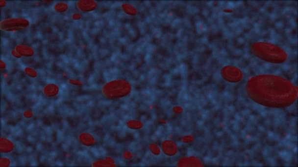 Medical Background Group Red Blood Cells Other Particles Rendering Animation — Stock Video