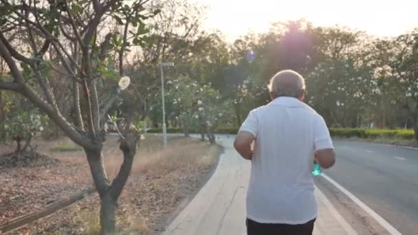 Vista Trasera Ejercicio Asiático Ancianos Hombre Mayor Corriendo Por Carretera — Vídeos de Stock