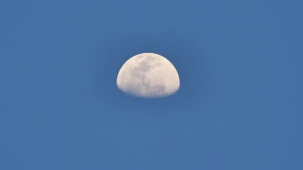 Закрыть Задний План Луна Поднимается Голубое Небо Вечером Ускорение Видео — стоковое видео