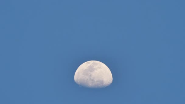 Gros Plan Fond Lune Lever Ciel Bleu Dans Soirée Accélérer — Video