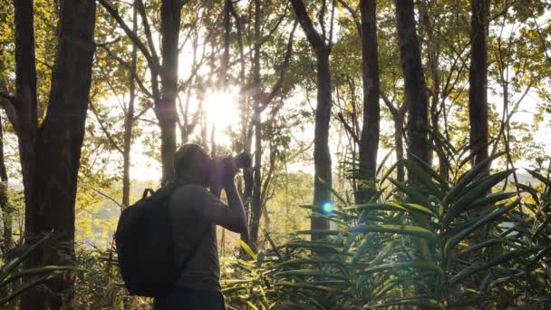 年轻的亚洲人走在热带森林中探险 年轻的亚洲人走在热带森林中探险 在黄昏的阳光下 带着美丽而明亮的太阳光 带着照片在泰国游览热带森林 徒步旅行 摄影和旅行 慢动作 — 图库视频影像