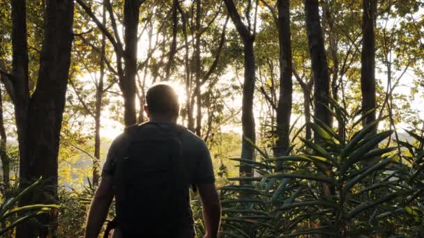 バックビュー若いアジアの男は 美しい明るい太陽光線タイで日没の夜に熱帯雨林と日光を探索歩いてください ハイキング 秋の森と旅行 — ストック動画