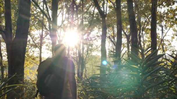 バックビュー若いアジアの男は 美しい明るい太陽光線タイで日没の夜に熱帯雨林と日光を探索歩いてください ハイキング 秋の森と旅行 スローモーション — ストック動画