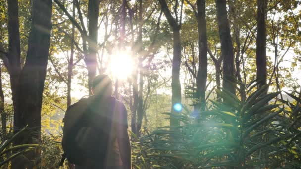 Vue arrière Jeune homme asiatique se promener à la découverte de la forêt tropicale et la lumière du soleil dans la soirée au coucher du soleil avec de beaux rayons de soleil lumineux Thaïlande. Randonnée pédestre, forêt d'automne et voyage. Mouvement lent 
