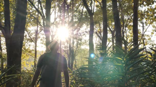 亜細亜の若者が腕を伸ばして熱帯雨林を散策タイの美しい太陽の光で自然をお楽しみください ハイキング 秋の森 バックパッカーや旅行 スローモーション — ストック動画