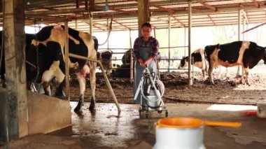 Süt sağma makinesini yürüten çiftçi kadın işlem işlemine hazırlanmak için depolama tankına geliyor. İnek sütü çiftliği Asya Tayland. Süt sağma prosedürü. yavaş çekim