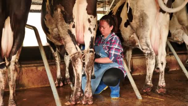 Mujer Agricultora Ordeñando Una Vaca Con Máquina Ordeño Granja Carrera — Vídeos de Stock