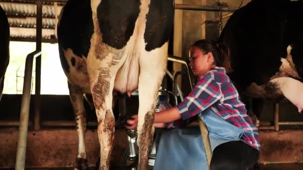 Mujer Agricultora Ordeñando Una Vaca Con Máquina Ordeño Granja Carrera — Vídeo de stock