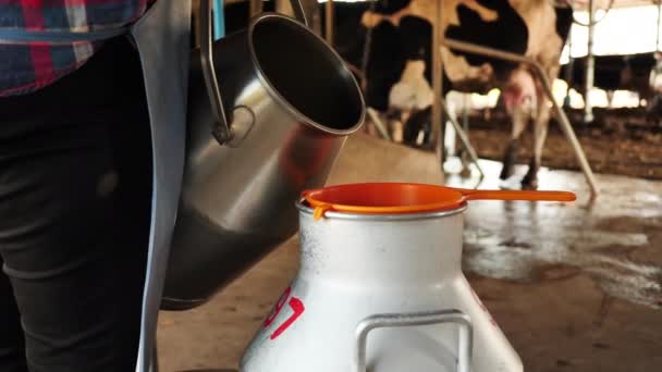 Boer Vrouw Gieten Rauwe Melk Verleden Filtreer Vuil Voordat Opslagtank — Stockvideo