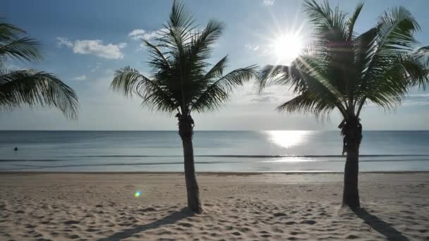 Fondo Cocoteros Playa Sol Mar Asia Tailandia Cámara Dolly Diapositiva — Vídeo de stock