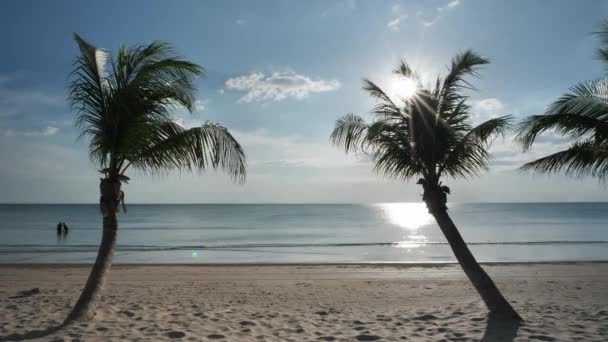 泰国海边的椰子树和海上的阳光 — 图库视频影像