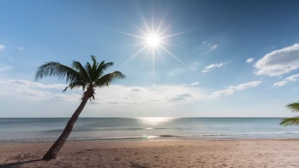 Time Lapse Achtergrond Kokospalmen Strand Zon Zee Azië Thailand Met — Stockvideo