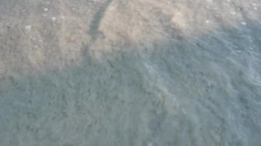 Sabah Asya Tayland 'da Arkaplan Kumsalı' nı ve denizi kapatın. Yavaş çekim