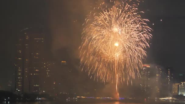 バンコク市内の花火リバーサイドチャオプラヤでお正月をお祝いします タイ政府観光局 — ストック動画