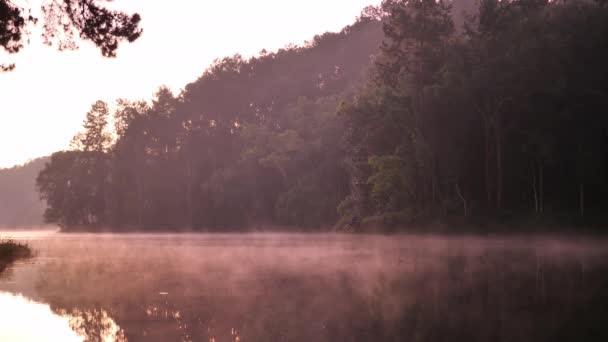 閉じる朝の雰囲気パン ウン湖で日光と水面に霧 観光名所キャンプメーホンソン省 タイの北 スローモーション — ストック動画