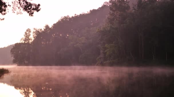 Sluiten Ochtendsfeer Zonlicht Bij Pang Ung Meer Mist Het Wateroppervlak — Stockvideo