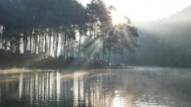 Sabah atmosferi Bambu rafting turisti Pang Ung Orman Çiftliği, Maehongson Bölgesi, Tayland Asya 'nın kuzeyinde. Turistik yerler doğayla iç içe. Kameranın Yavaş Hareketi 
