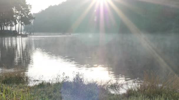 Ochtendsfeer Bamboe Rafting Toerist Het Meer Pang Ung Bosbouw Plantages — Stockvideo