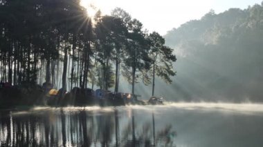 Sabah atmosferi ve güneş ışığı Tayland 'ın kuzeyinde Maehongson Eyaleti, Pang Ung Orman Çiftliği' nde. Turistik yerler doğayla iç içe. Yavaş Hareket 