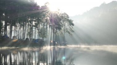 Sabah atmosferi ve güneş ışığı Tayland 'ın kuzeyinde Maehongson Eyaleti, Pang Ung Orman Çiftliği' nde. Turistik yerler doğayla iç içe. Yavaş Hareket 