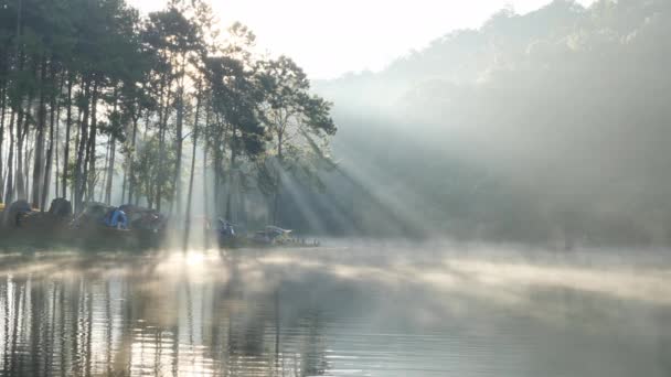 Morgonstämning Och Solljus Vid Sjön Pang Ung Forestry Plantations Maehongson — Stockvideo